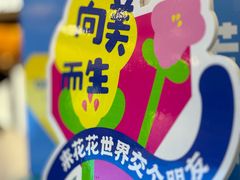 -鹏欣水游城