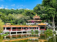 -深圳仙湖植物园
