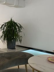 -I+造型烫发染发