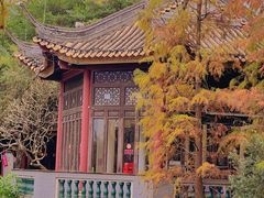 -顺峰山公园