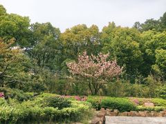 -九龙潭景区