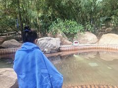 -秦皇岛阿尔卡迪亚滨海度假酒店