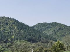 -径山花海