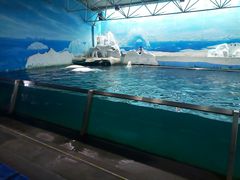 -秦皇岛乐岛海洋王国