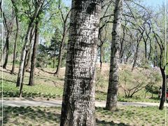 -元大都城垣遗址公园