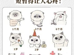 -爱侣宠医·鹦鹉专科·小型哺乳类·异宠专科(灵石路店)