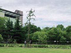 -上海市第一人民医院(松江南部)