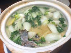 -优之名鹅城
