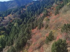 -香山公园