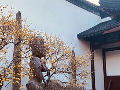 -太平天国历史博物馆(瞻园)