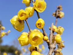 -上海海湾国家森林公园