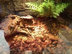 -悠尼宠物·独立低压伊珊娜洗护·美容·寄养(兰谷路店)