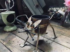 景观位-猫色咖啡·猫咖