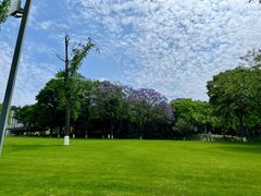 -重庆中央公园(渝北区)