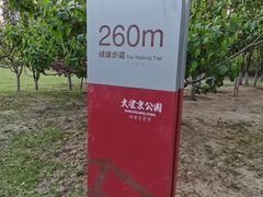 -大望京公园