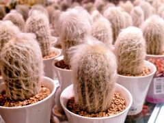 -KKV(深圳宏发大仟里店)