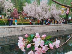 -海棠花溪(元大都城垣遗址公园)