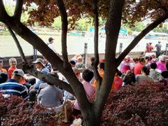 -苏州河梦清园环保主题公园