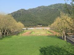 -裸心谷·裸心味餐厅