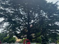 -青岛德国总督楼旧址博物馆