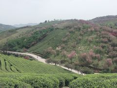 -四明山国家森林公园