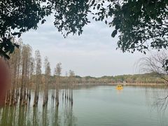 -凤凰沟景区