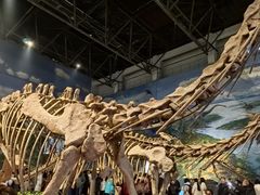 -自贡恐龙博物馆