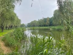 -中关村生命科学园