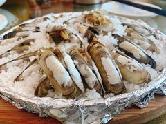 盐焗圣子-民丰饭店(海丰黄江医院西)