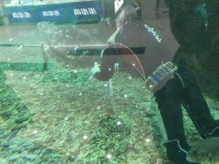 -鸿通城购物中心