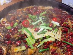 -老板恋上鱼(恒隆广场店)