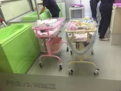 -弗蕾亚·和月月子调理院(东湖店)