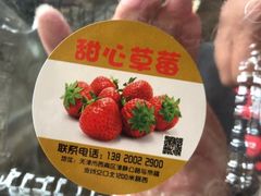 -甜心庄园·甜心草莓采摘园(西青中北店)