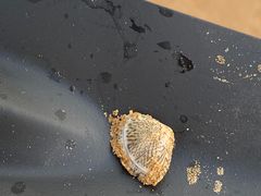 -青岛银沙滩