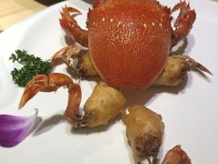 -割烹旭日本料理(龙湖狮山天街店)