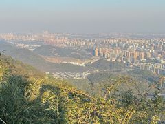 -杭州半山国家森林公园