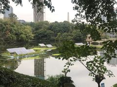 -百林公园-两江幸福广场