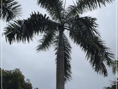 -广州市白云山风景名胜区