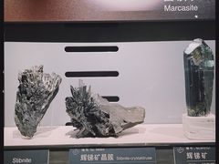 -中国地质博物馆