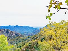 -大岭沟猕猴桃谷风景区