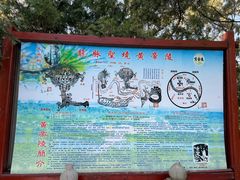-黄帝陵