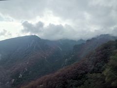 -牛背梁国家森林公园