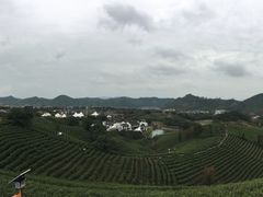 -帐篷客·溪龙茶谷度假酒店