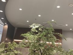 -君之狮子山·轻糖烘焙(松江印象城店)
