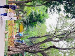 -晓港公园