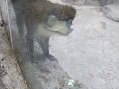 -南昌动物园