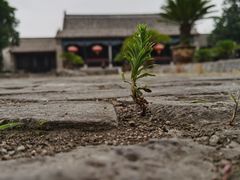 -南阳府衙