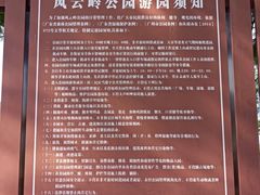 -风云岭森林公园