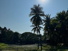 -四季酒店下午茶