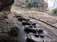 -成都市活水公园